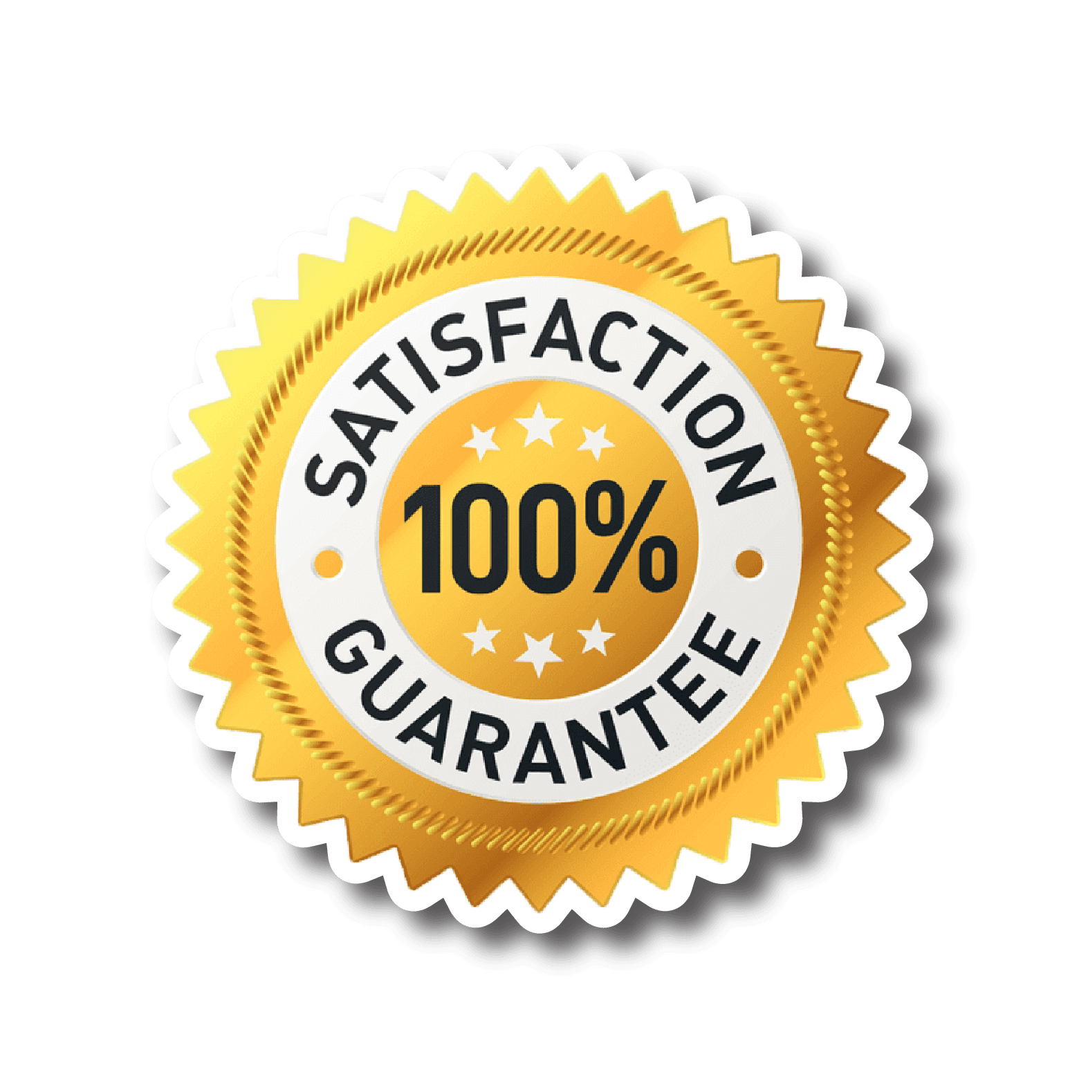 100SatisfactionGuarantee_WebsiteLogo.png