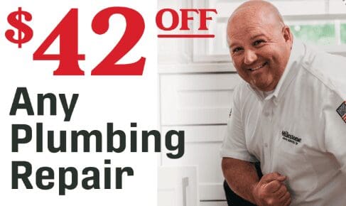 42 coupon off plum