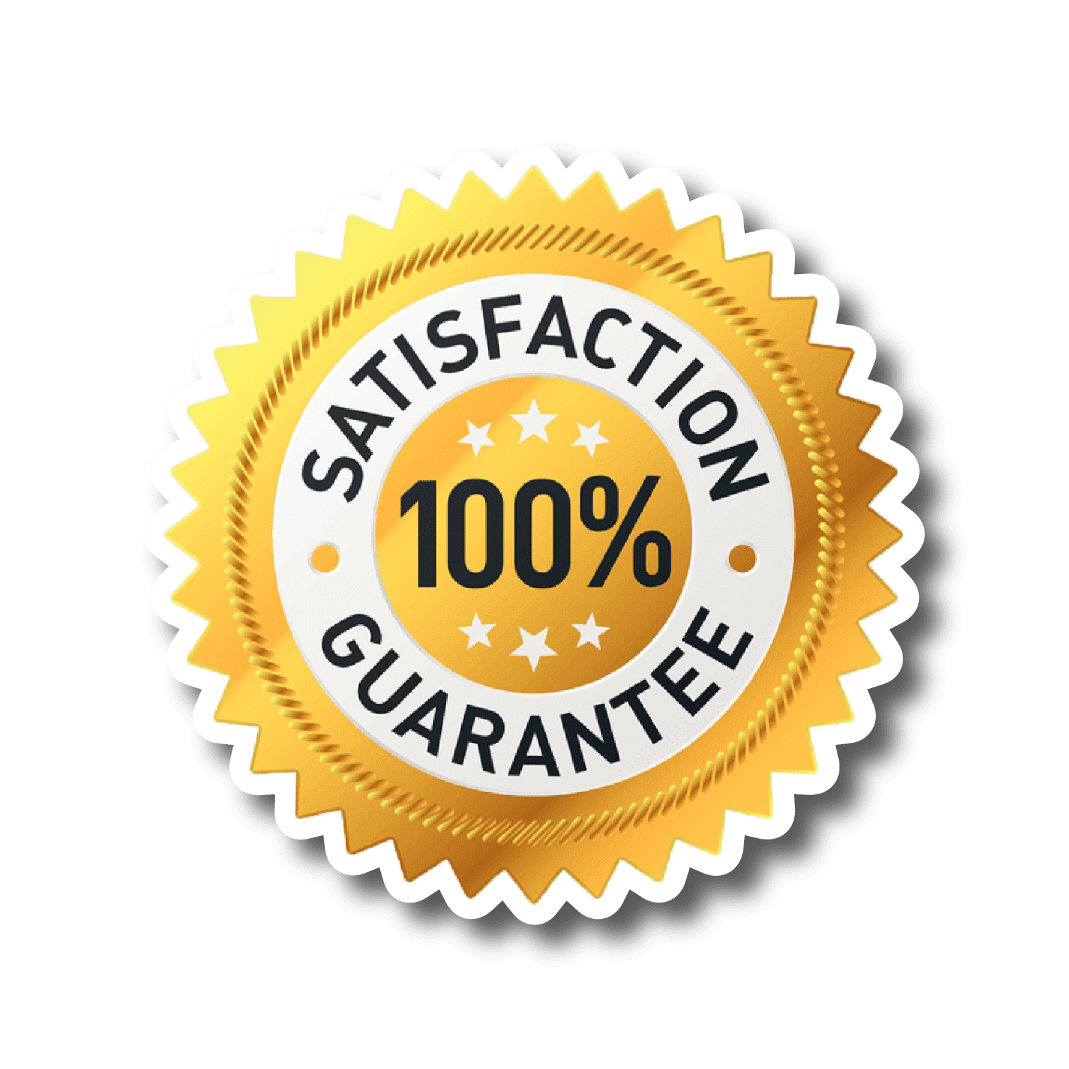 100SatisfactionGuarantee_WebsiteLogo